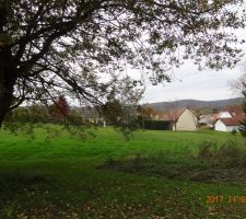 Photo du terrain vue Nord Ouest