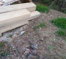 Stockage de la charpente en vrac.... et non protégé