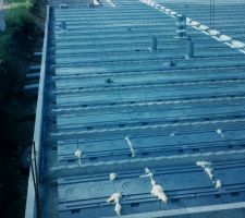 Isolation plancher hourdis rector