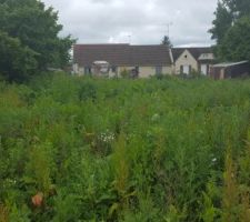 Parcelle revenue à la vente dans un lotissement libre de constructeur, une opportunité signée dès que l'info m'est parvenue.