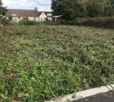 Apres un petit nettoyage &agrave; l'huile de coude...