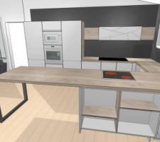 Projection du cuisiniste