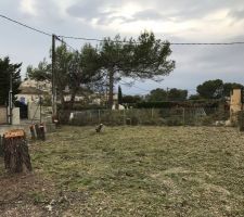 Future implantation de la maison