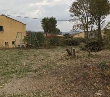 Future jardin