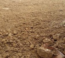 Il ya une semaine il y avait une montagne, ça paraît plus grand qu'avant. C'est l'arrière de la maison, côté jardin.