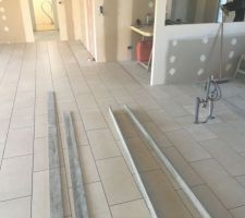 Pièce de vie + entrée