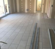 Pièce de vie + entrée