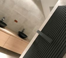 Pose des meubles dans la SDB 2
Manque encore le miroir lumineux et la paroi en verre de la douche ?