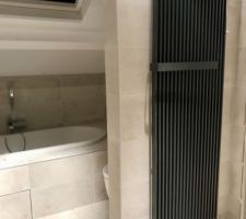 Pose des meubles dans la SDB 2
Manque encore le miroir lumineux et la paroi en verre de la douche ?