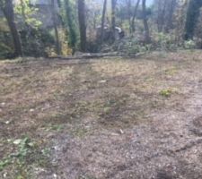 Voici le terrain, avec la bordure d'arbres et le ruisseau en contrebas