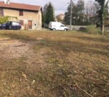 Voici le terrain, avec la bordure d'arbres et le ruisseau en contrebas