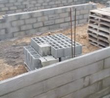 D&eacute;but du vide sanitaire 
3 novembre 2017