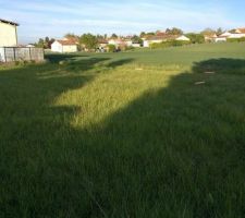 Piquets de la maison