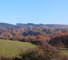 La colline en automne