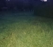 Implantation de la maison