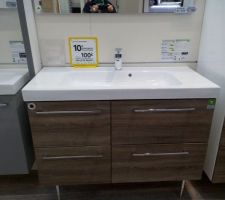 Encore une idée de meuble pour la sdb