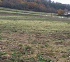 Implantation de la maison sur le terrain