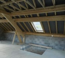 Le velux côté intérieur. J'avais bien pensé à indiquer les dimensions souhaitées et le type d'ouverture en projection. J'ai bien, bien, bien insisté la-dessus... Et je n'ai jamais pensé à préciser que je le voulais en finition bois, comme toutes les autres fenêtres de la maison. Donc, bingo, s'étant soigneusement abstenus de me poser la question, ils me l'ont posé en blanc. La poignée est gris vilain. Il faut que je vérifie les finitions disponibles au catalogue.