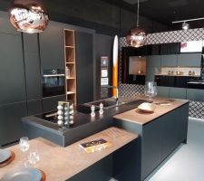 La cuisine dont on été amoureux en rentrant chez Aviva. On change la couleur du cuivre en bois clair.