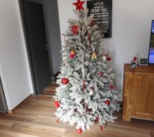 Porte intérieur peinte gris anthracite + Arbre de Noël