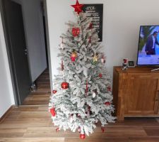 Porte intérieur peinte gris anthracite + Arbre de Noël