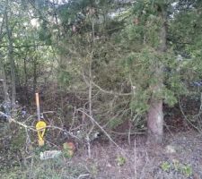 Tous doit disparaitre...