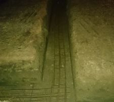 Magnifiques photos de nuit éclairées à la puissance des phares de la corolla :)