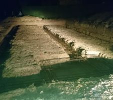 Magnifiques photos de nuit éclairées à la puissance des phares de la corolla :)
