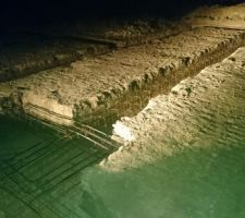 Magnifiques photos de nuit éclairées à la puissance des phares de la corolla :)