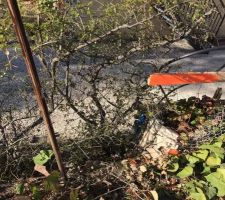 Terrassement de la plateforme