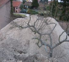 Super pour faire un chateau de sable géant... de la terre, qui veut de la terre