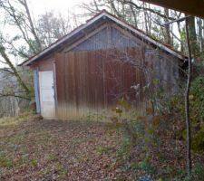 Caché en lisière de forêt