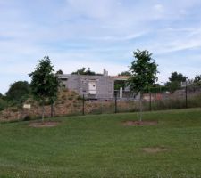 Elevation des murs du rez-de chauss&eacute;e.