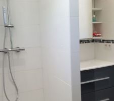 Douche et meuble Salle de bains