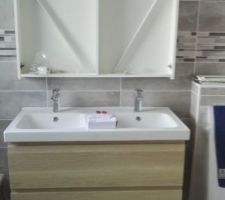 Pose du double vasque et miroir dans la salle de bain (reste a poser les miroir)