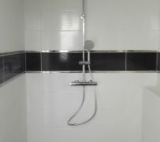 Pose  de la colonne de douche dans la salle d'eau