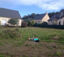 Terrain nettoyé avant implantation