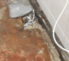 Dégât des eaux... sous le carrelage.