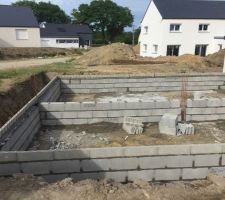 15 mai 2017 : &eacute;l&eacute;vation vide sanitaire