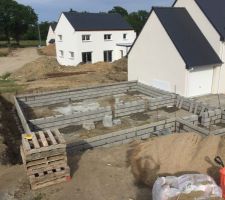 15 mai 2017 : &eacute;l&eacute;vation vide sanitaire