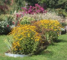 Rudbeckias, sedum, gaura, lagerstroemia...