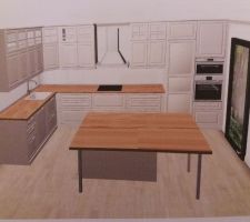 Choix du modèle de l'implantation de la cuisine