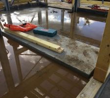 Dalle renforcée pour l'aquarium de Monsieur.