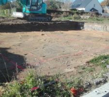 Enfin ,la premiere pelletée le 13 nov