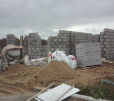 &ccedil;a pousse encore et encore le 26 nov