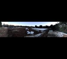 Abattage des arbres