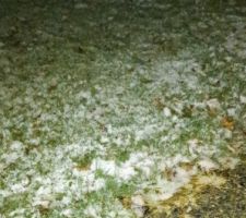 1er Flocons