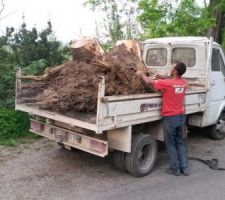 Dessouchage avec des souche de plus de 2 tonnes