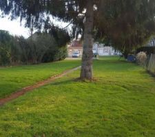 Terrain viabilis&eacute;, plat, calme et beaucoup de charme !