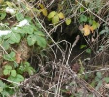 Une seconde habitation sur le terrain !